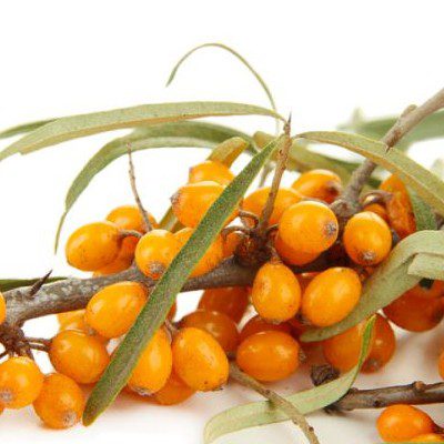 Catina - Produse de la fermieri si producatori locali